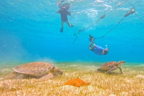 Review img # 46 of the yacht AURA