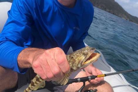 Review img # 10 of the yacht CASHMERE