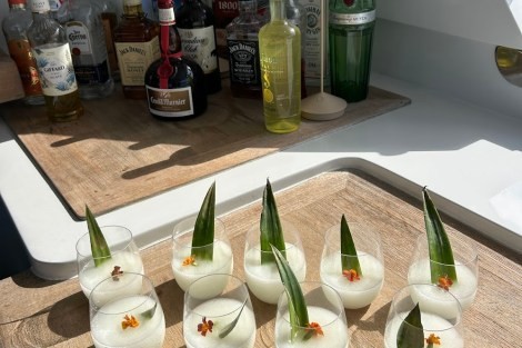 Review img # 1 of the yacht CATA