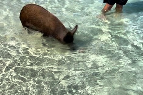 Review img # 23 of the yacht EARNOUT