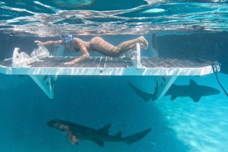 Review img # 13 of the yacht EARNOUT