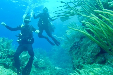 Review img # 59 of the yacht GAMBIT