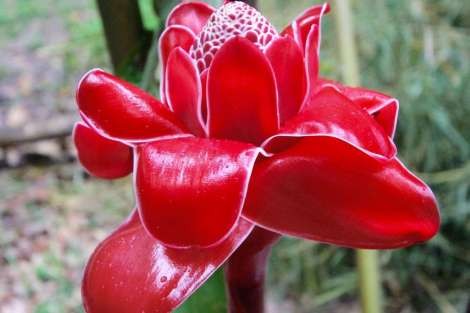 Review img # 73 of the yacht ISOLABLUE