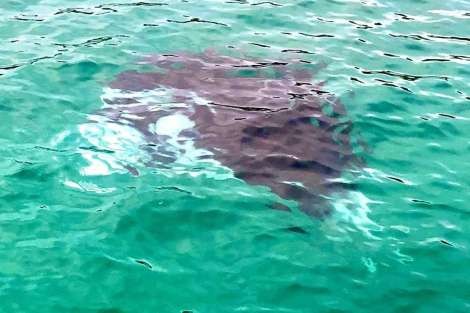 Review img # 121 of the yacht ISOLABLUE