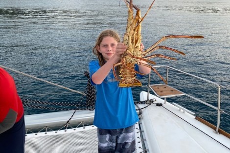 Review img # 52 of the yacht LE REVE L620 ESSENCE