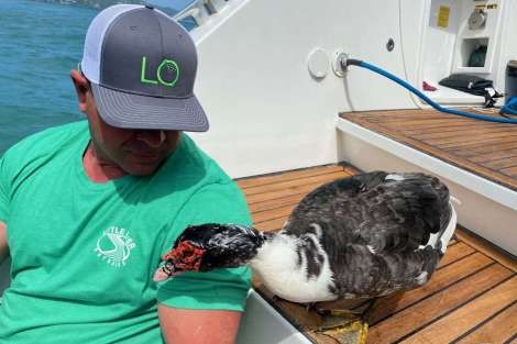 Review img # 13 of the yacht LE REVE L620 ESSENCE