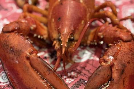 Review img # 7 of the yacht LEXINGTON