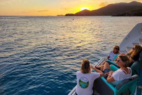 Review img # 91 of the yacht LIQUID ZEN