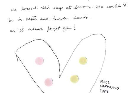 Review img # 7 of the yacht LOOMA