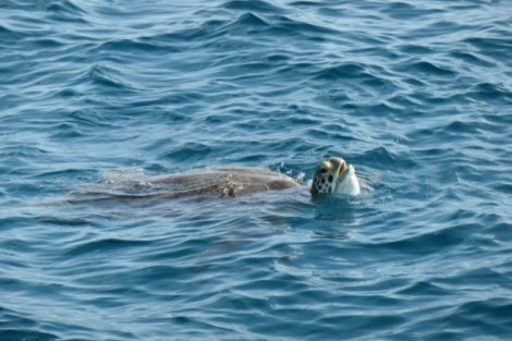 Review img # 79 of the yacht MAKIN MEMORIES