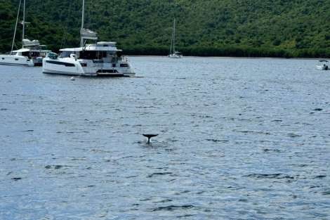 Review img # 64 of the yacht MAKIN MEMORIES