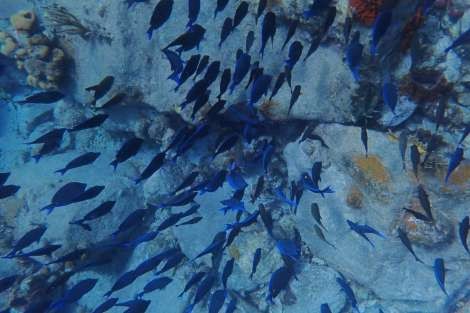 Review img # 22 of the yacht MAKIN MEMORIES