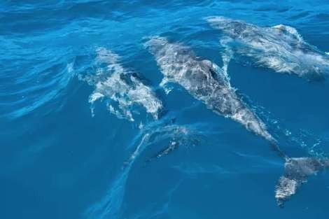 Review img # 6 of the yacht MAKIN MEMORIES