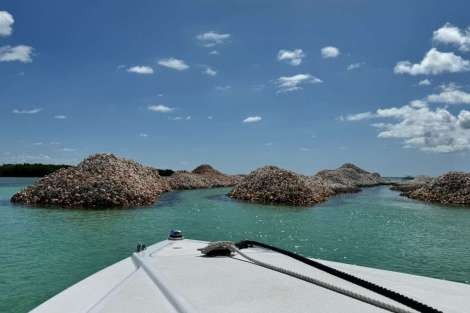 Review img # 13 of the yacht MARE BLU