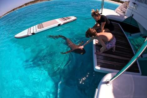 Review img # 116 of the yacht MUCHO GUSTO