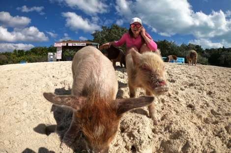 Review img # 87 of the yacht MUCHO GUSTO