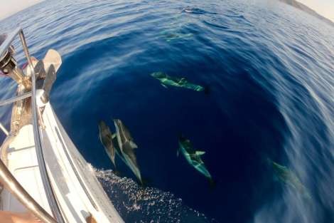 Review img # 35 of the yacht RESPITE AT SEA