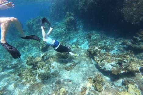 Review img # 83 of the yacht SCUBA DOO