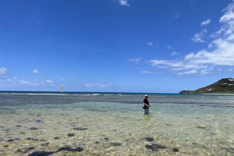 Review img # 84 of the yacht SCUBA DOO