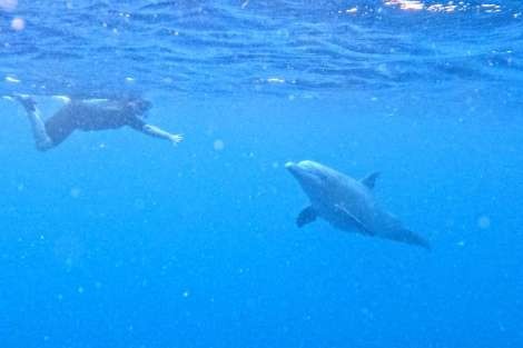 Review img # 27 of the yacht SCUBA DOO