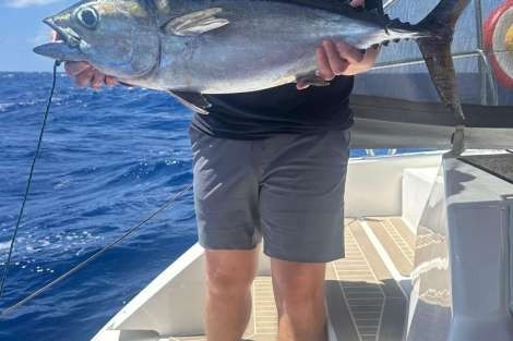 Review img # 5 of the yacht SOMMER