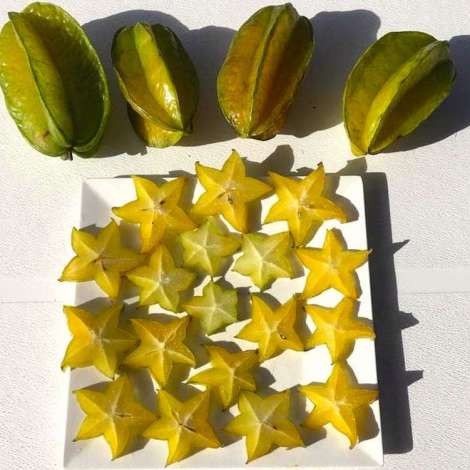 Food onboard TIMAIAO 2 # 1