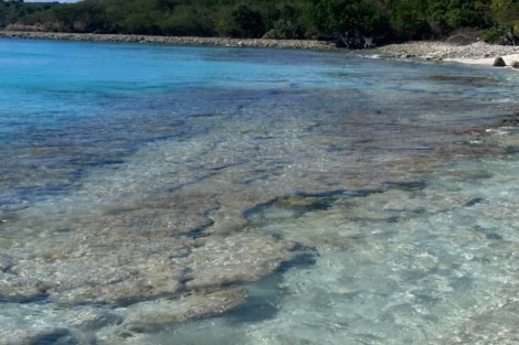 Review img # 5 of the yacht TORTUGA