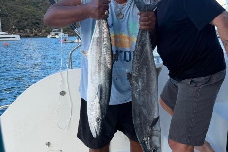 Review img # 8 of the yacht TORTUGA