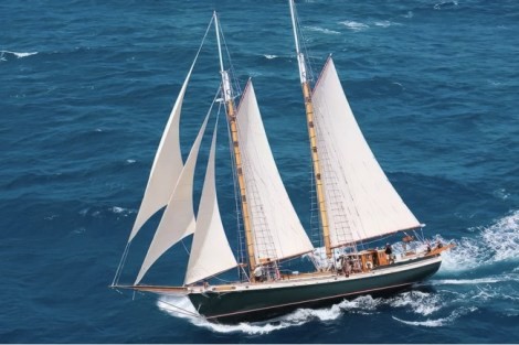 Review img # 4 of the yacht TREE OF LIFE