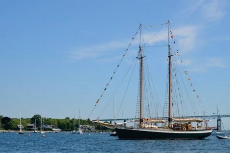 Review img # 10 of the yacht TREE OF LIFE