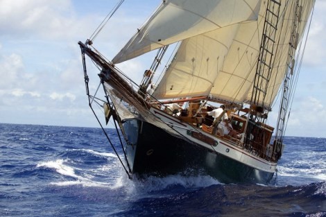 Review img # 11 of the yacht TREE OF LIFE