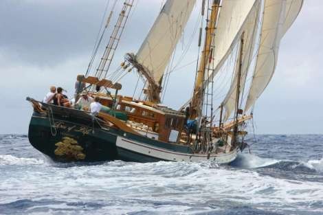 Review img # 12 of the yacht TREE OF LIFE